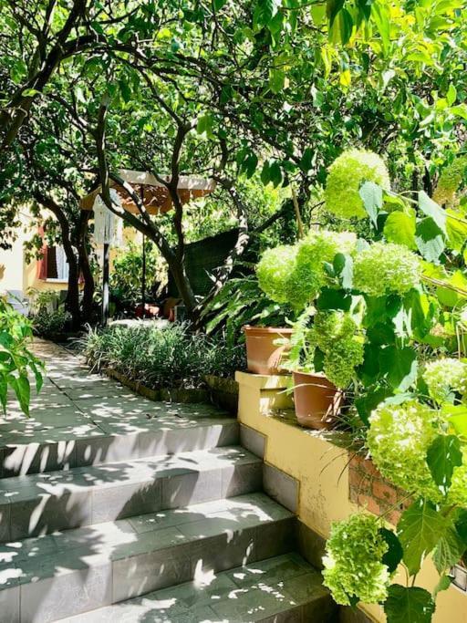 Casa Adele Daire Monterosso al Mare Dış mekan fotoğraf