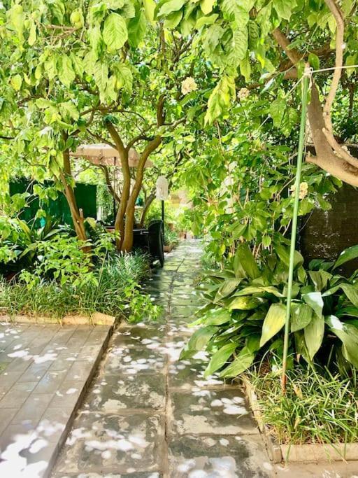 Casa Adele Daire Monterosso al Mare Dış mekan fotoğraf