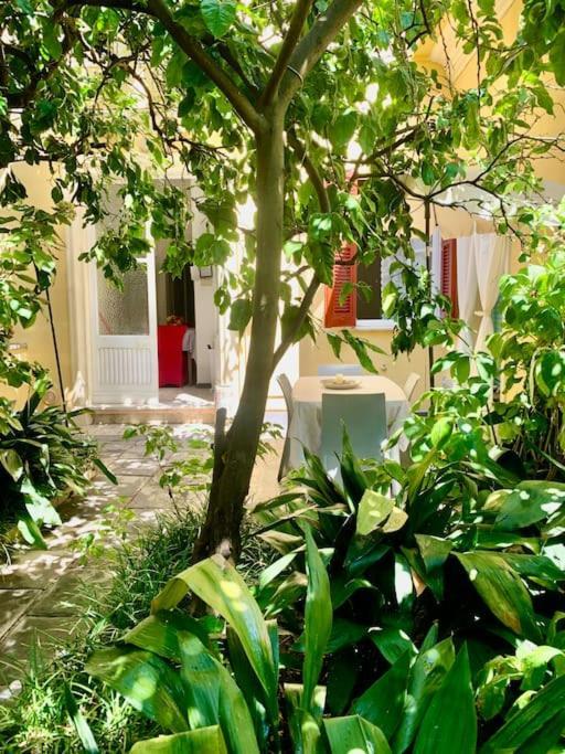 Casa Adele Daire Monterosso al Mare Dış mekan fotoğraf